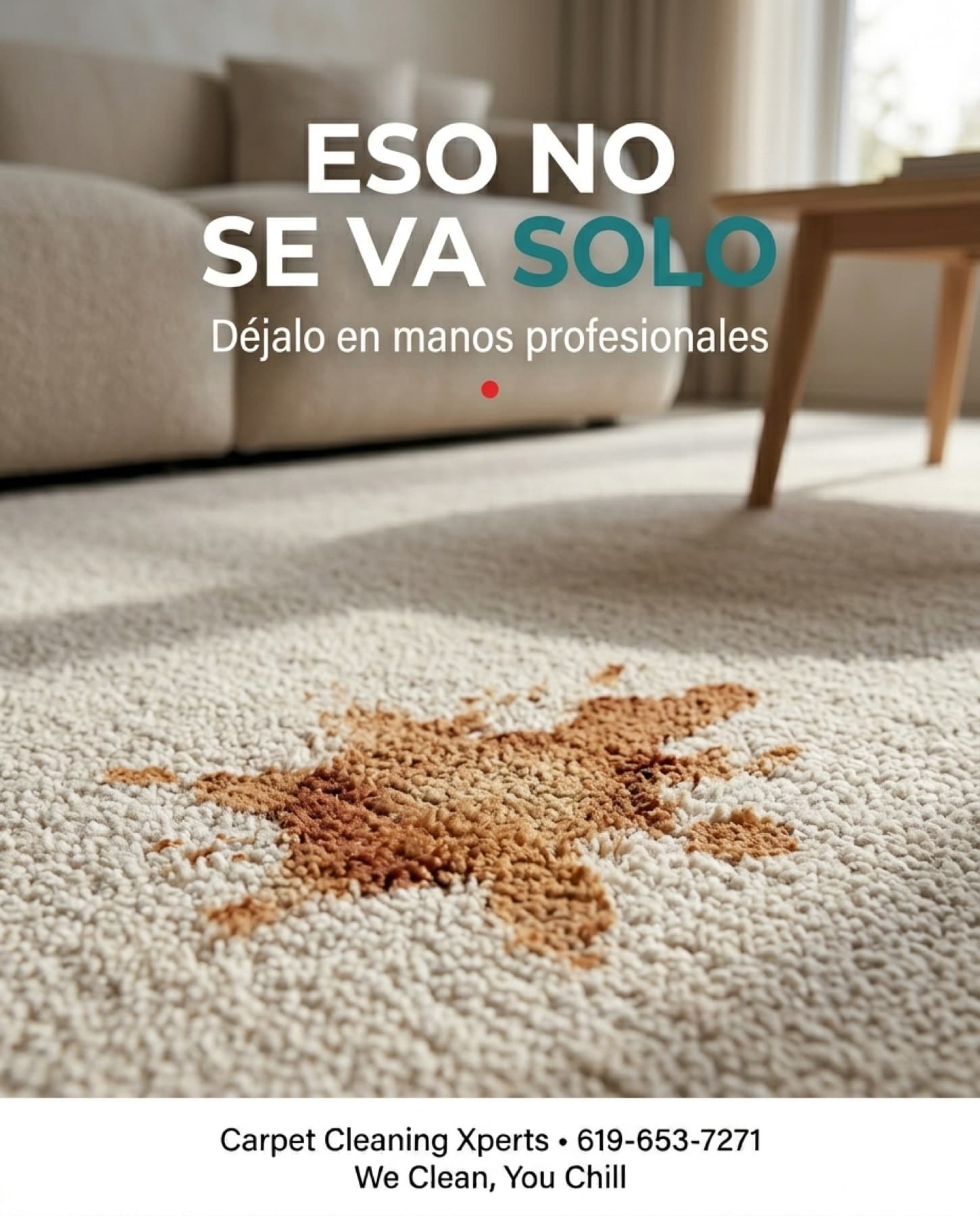 Carpet Cleaning Xperts — problem-state creative