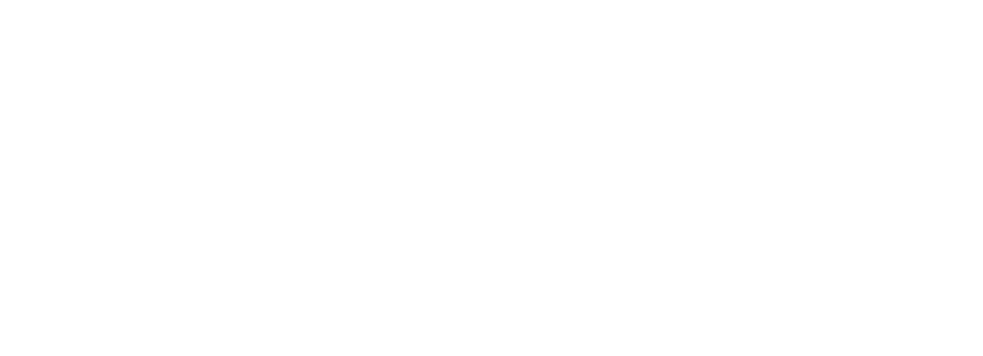 Snatch It — SN wordmark, white