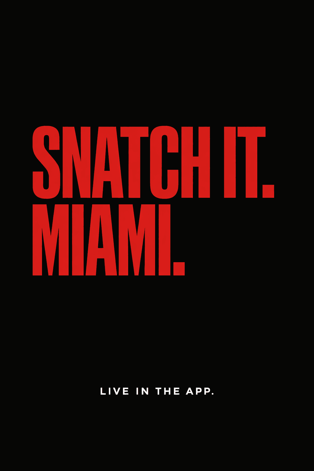 Snatch It — visual 2